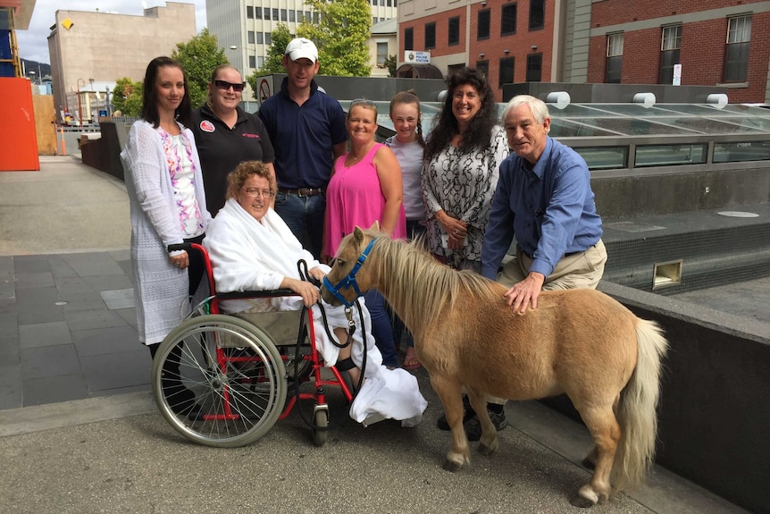 Miniature horse with Sally Catherall's family