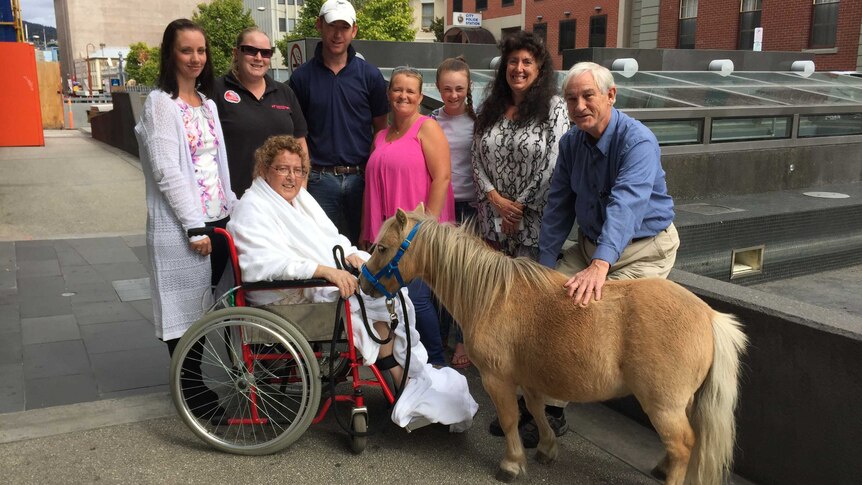 Miniature horse with Sally Catherall's family