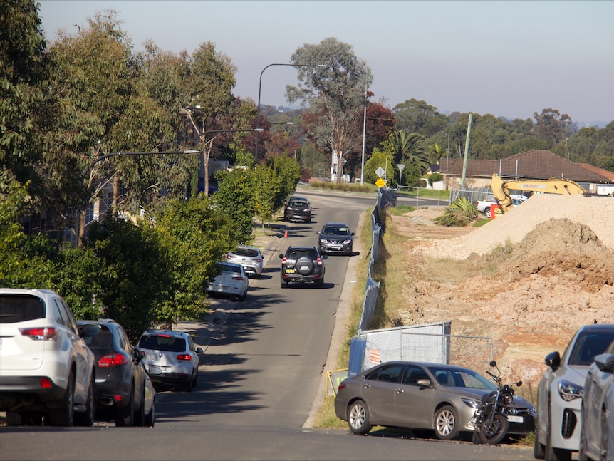 NSW government and councils blame one another over 'absurd' half-width streets