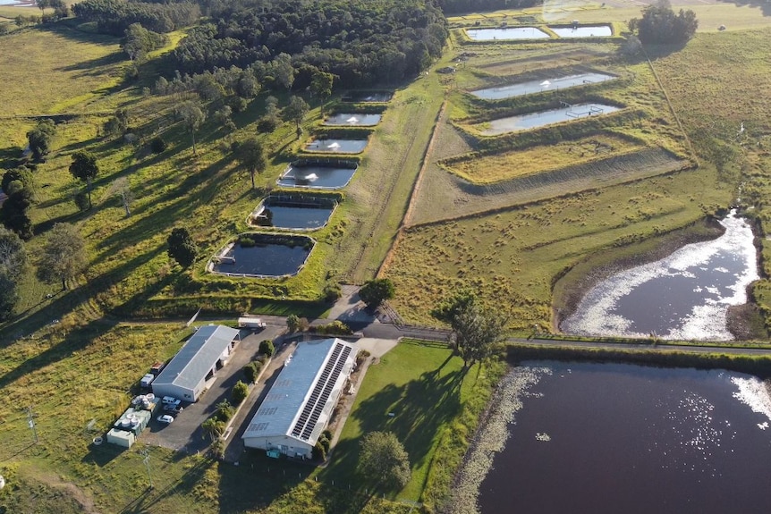 drone shot of Grafton Fisheries Centre