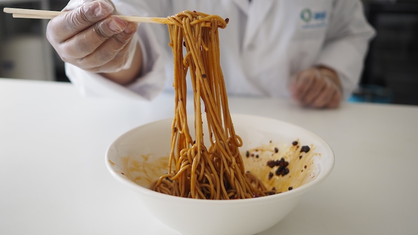 Bowl of noodles in a lab, noodles held up by chopsticks.