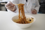 Bowl of noodles in a lab, noodles held up by chopsticks.