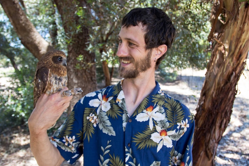 Michael Lohr with a boobook owl