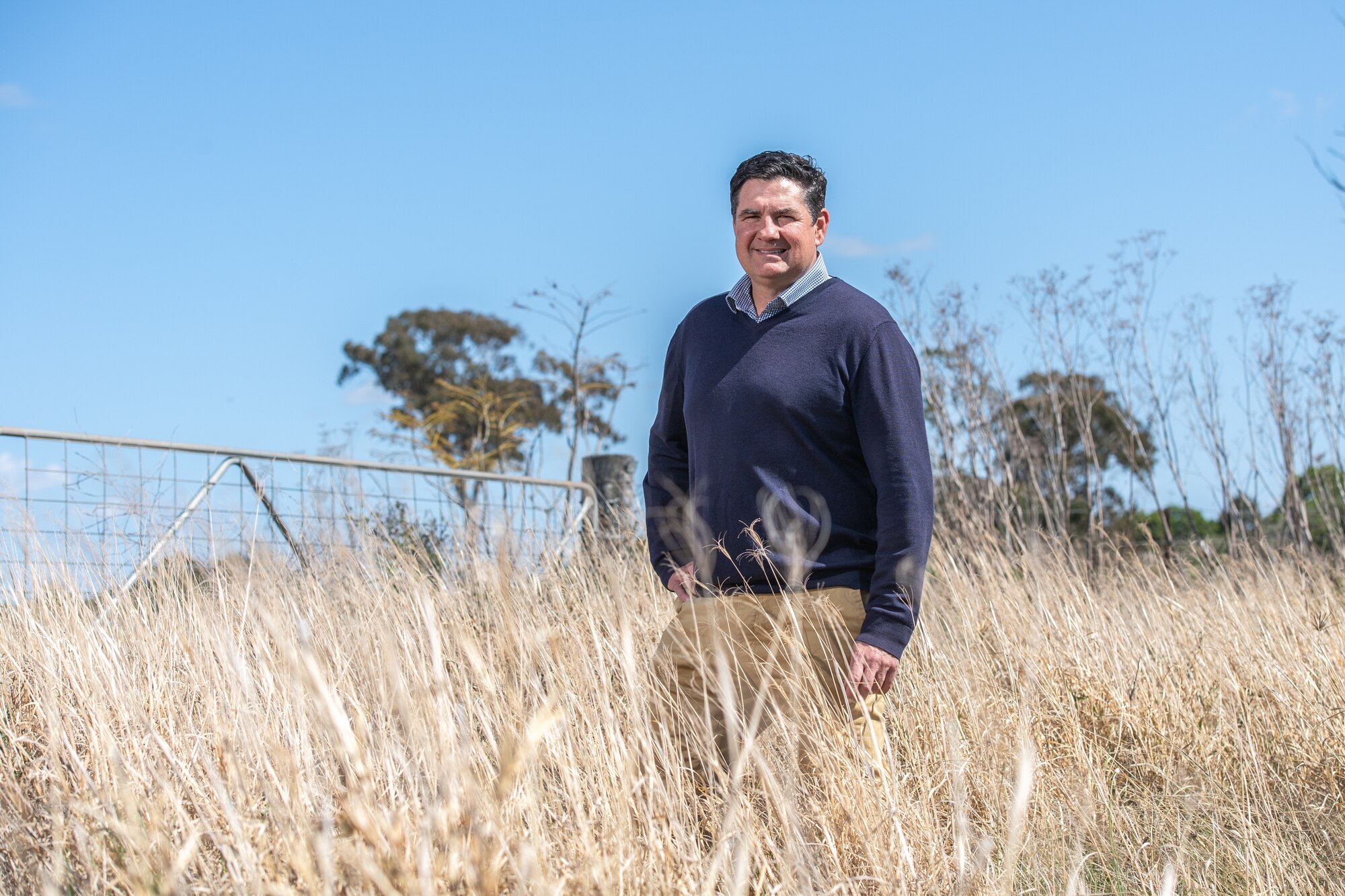 A man stands in a grassy field