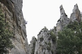 The peleton enroute to Narbonne in a dramatic 12th stage.