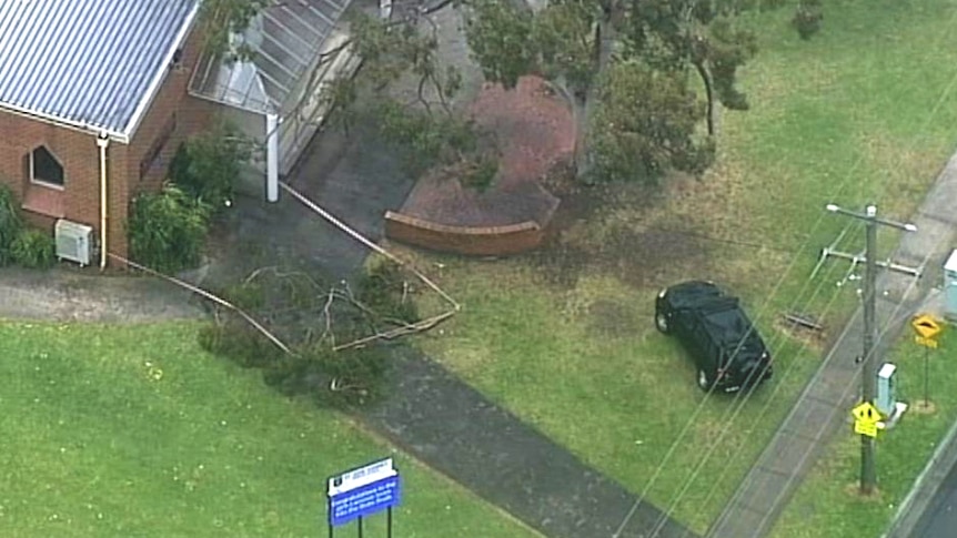 An aerial shot showing the tree branch that fell from a tree in Melbourne's southeast.