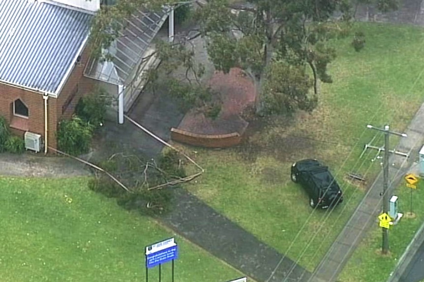An aerial shot showing the tree branch that fell from a tree in Melbourne's southeast.
