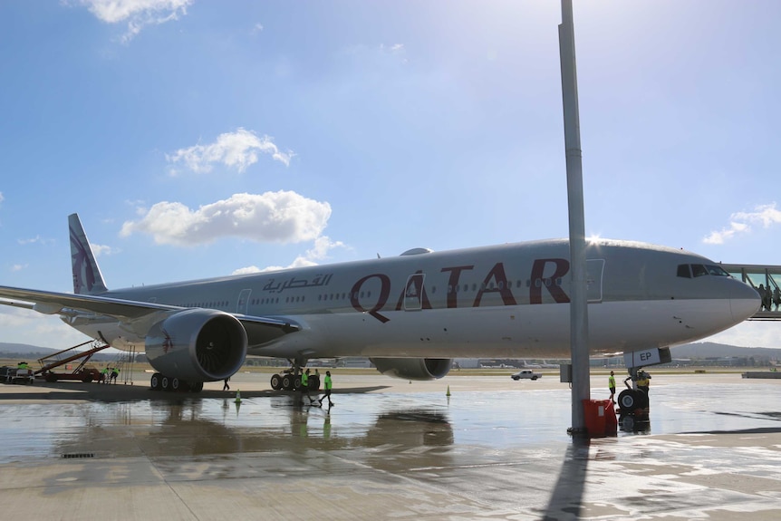 A Qatar Airways at the gate on a clear, sunny day.