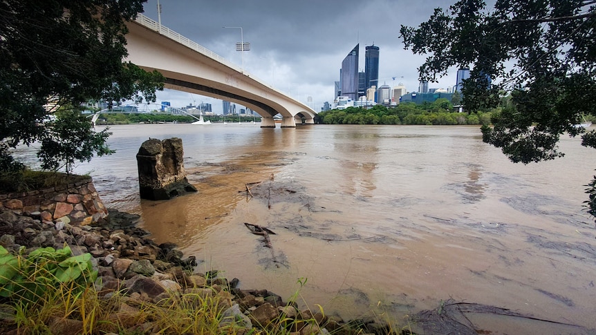 A murky river flowing beneath a bridge in the city of Brisbane.