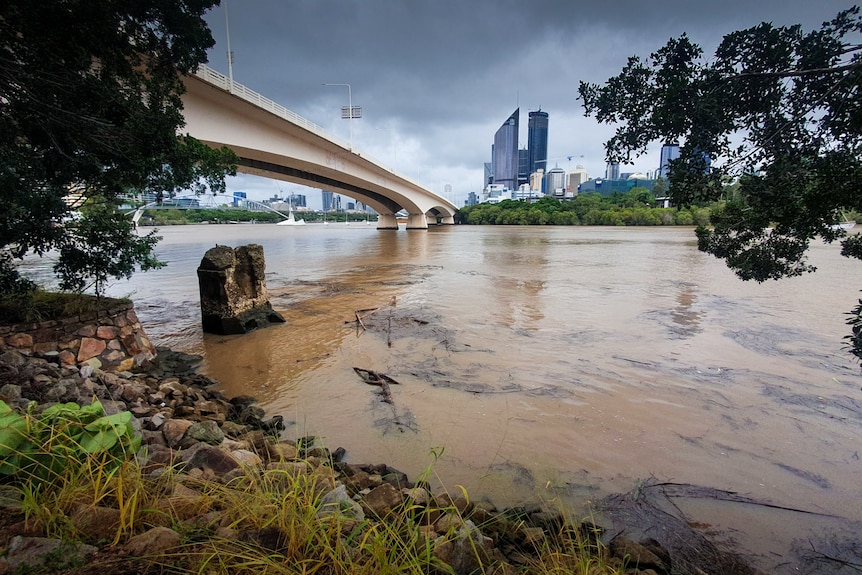 Debris in the Brisbane River