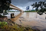 A murky river flowing beneath a bridge in the city of Brisbane.