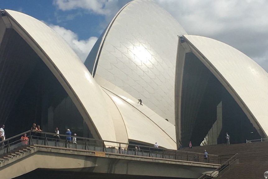 A silhouette on the Sydney Opera House.