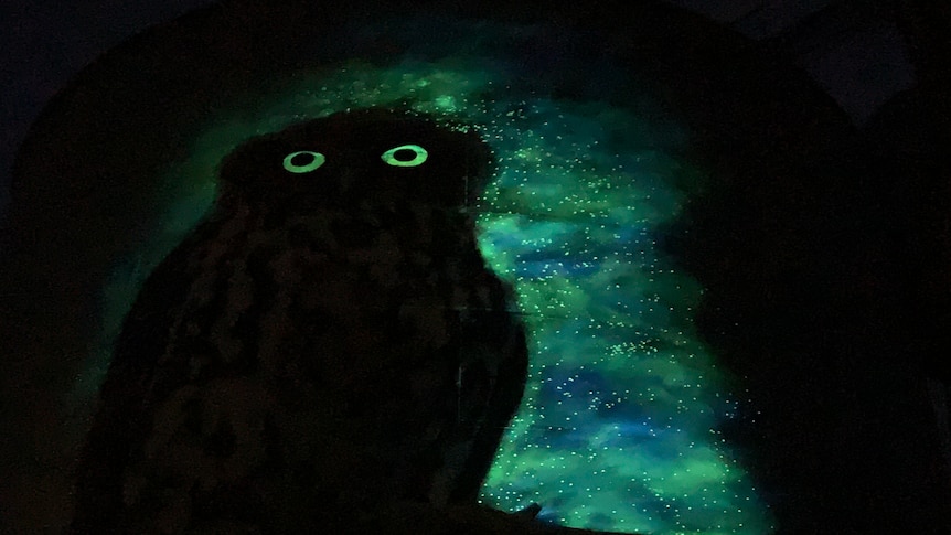 a giant owl silhouette glows in the dark. 