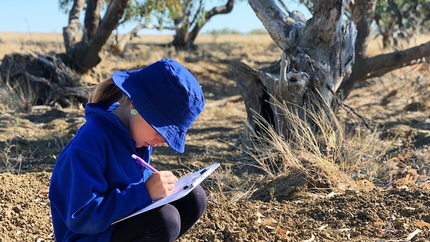 A student doing book work in a paddock