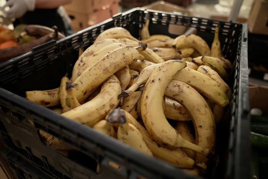 A black crate of ripe bananas