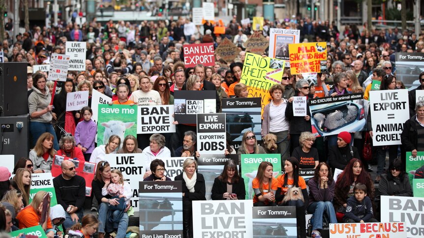 A crowd of people at a rally to ban live export.