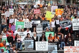 Hundreds protest against live exports