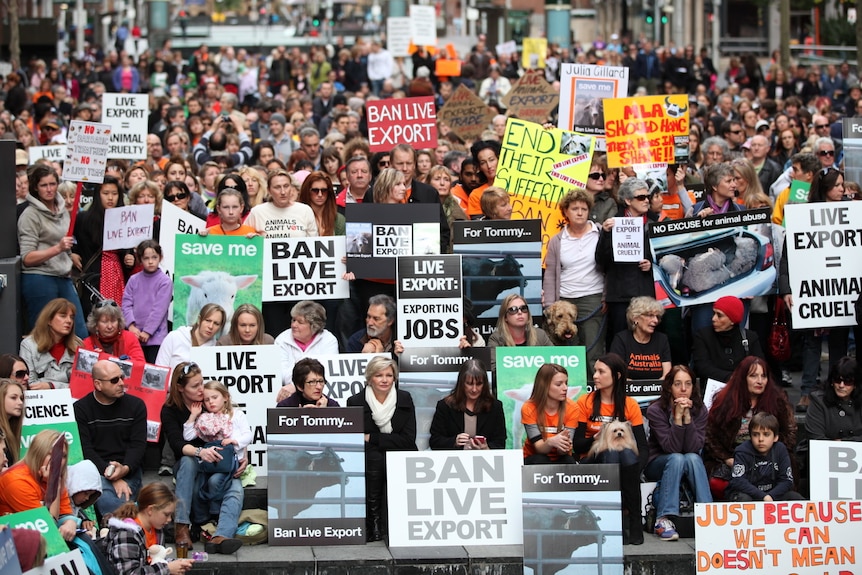 Hundreds protest against live exports