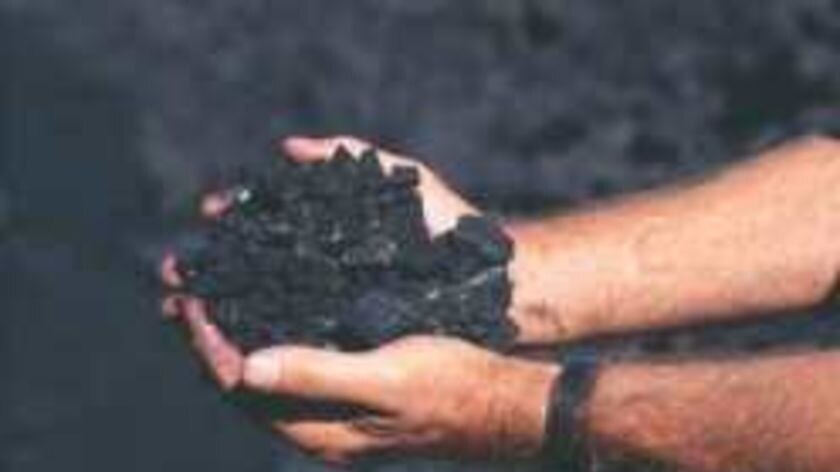 Coal hands