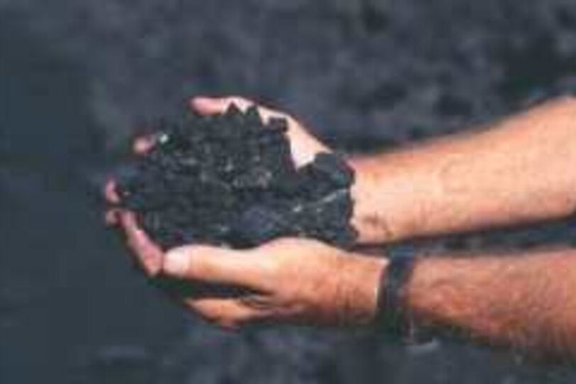 A pair of hands holds a pile of coal.
