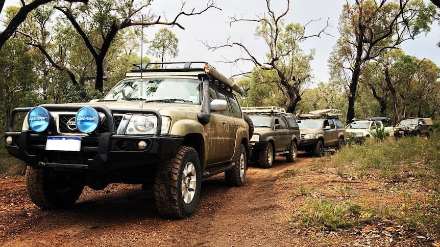 Car line up