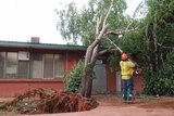 A worker uses a chainsaw to break a branch of a tree that has fallen onto a roof.