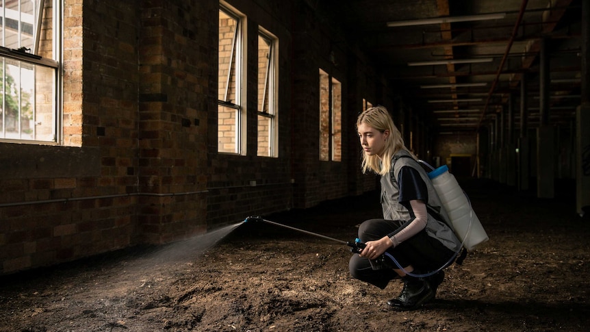 Volunteer Anna May Kirk tending to soil with water inside Asad Raza's artwork Absorption at Carriageworks in Sydney.