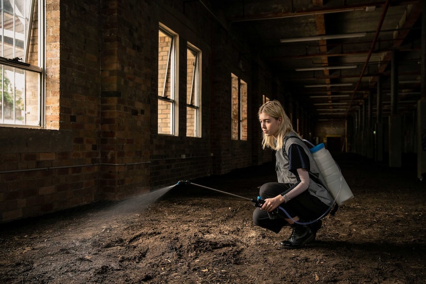 Volunteer Anna May Kirk tending to soil with water inside Asad Raza's artwork Absorption at Carriageworks in Sydney.