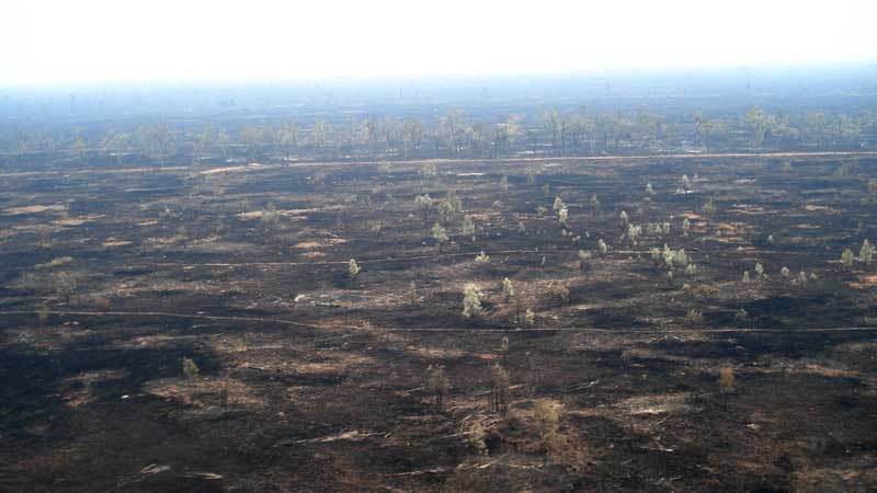 Wide aerial photo of burnt out land near Jericho, east of Longreach in central-west Qld.