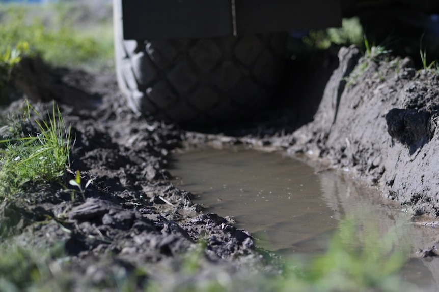 close up of tractor tyre and puddle