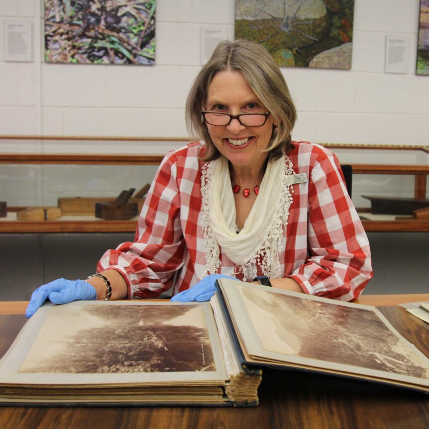 Elspeth Wishart, with some of the Beattie Collection