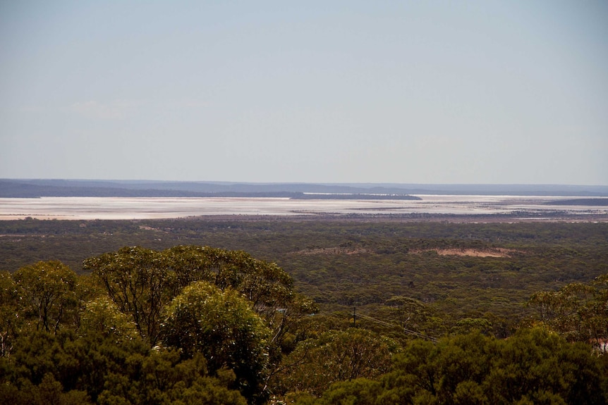 View of Lake Cowan from the hills over Norseman.