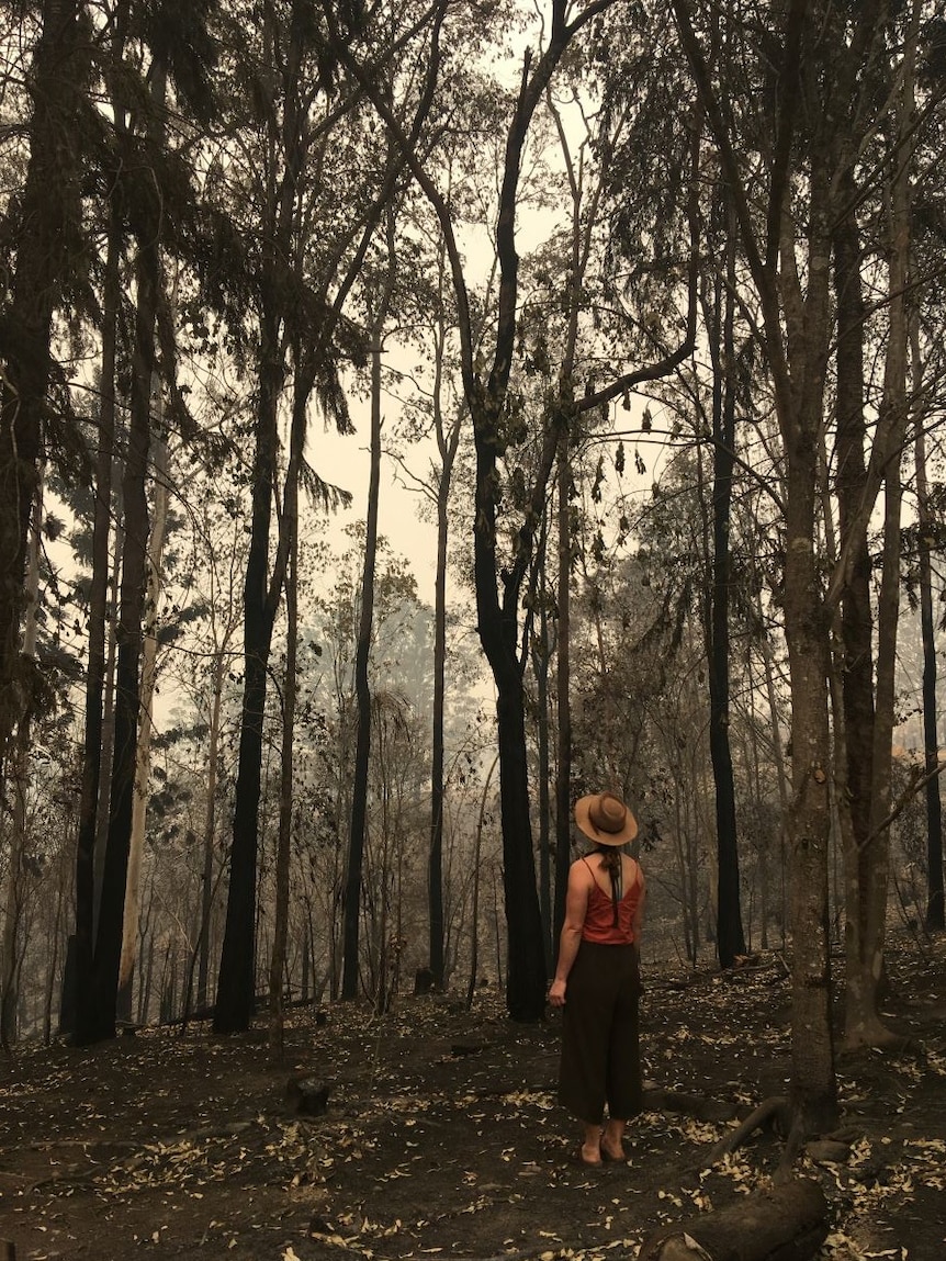 A woman stands in a wood devastated by fire, looking up at blackened trees.