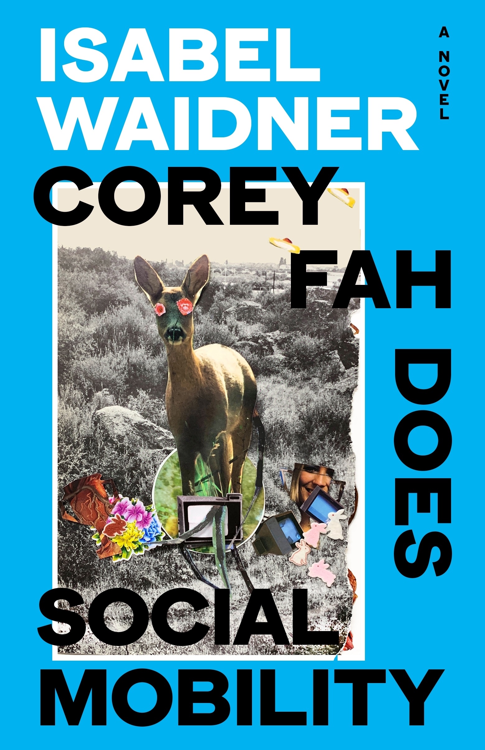 A book cover showing a digitally altered black and white photo of a deer set against a blue background
