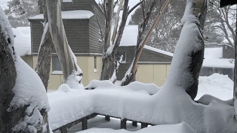 Thick snow cover in Dinner Plain, Victoria