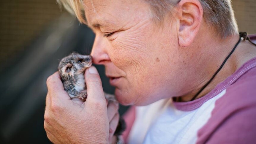 Philip Island animal rescuer Kaylene Mendola holding a baby possum