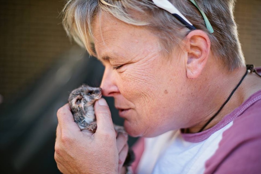 A woman cradles a tiny possum in her hands, next to her nose.