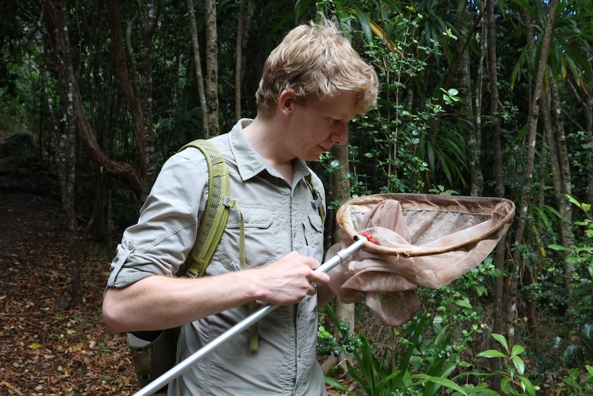 A man holding a fine-mesh net in a rainforest.