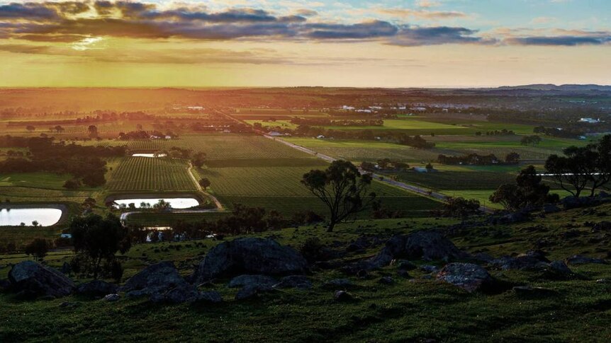 Sunset in the Barossa
