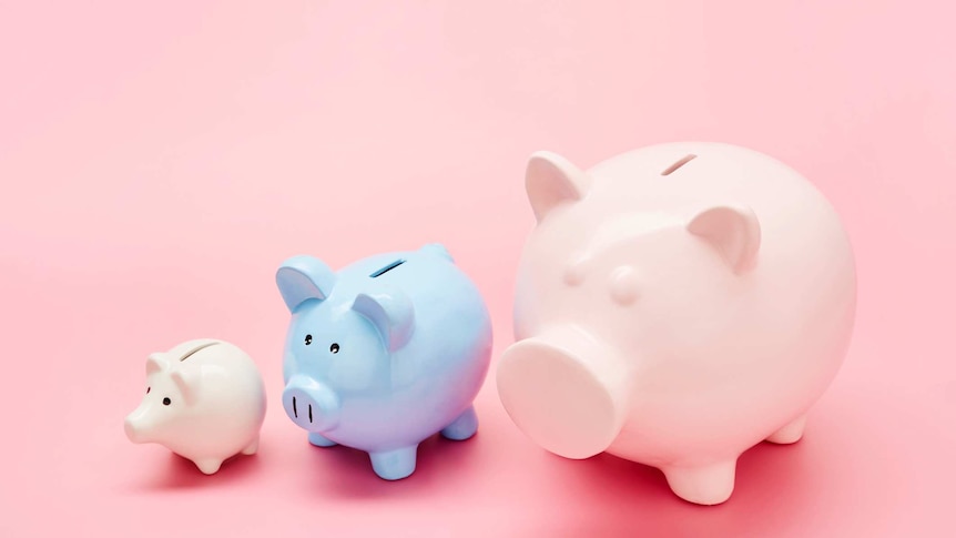 Three piggy banks sit in a row in white, pink and blue on a pink background. Their snouts are of differing shapes.