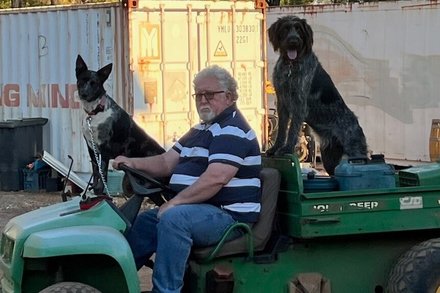 A man sits on a lawnmower with two black dogs