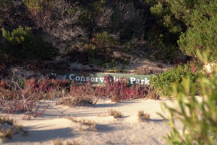 A sign is obscured by sand and plants.