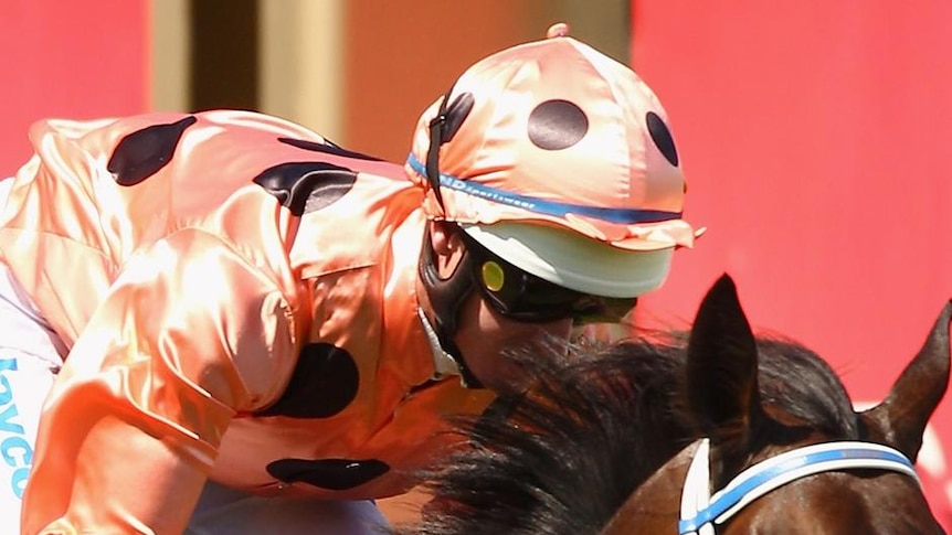 Jockey Luke Nolden and Black Caviar will be shooting for win number 16.