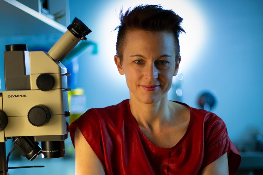 Dr Linda Iles, who has short brown hair and is wearing a red top, poses for a photo next to a microscope in a blue-lit room