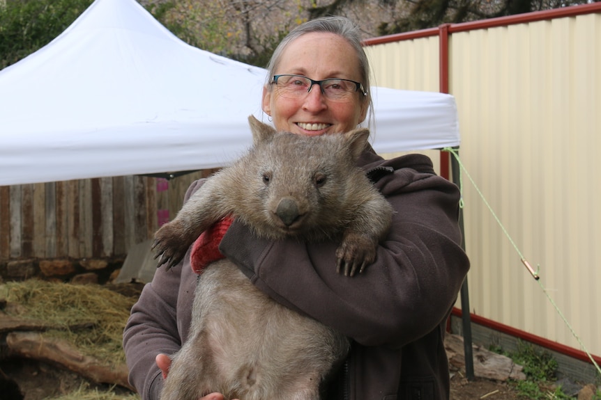 Sharon Woodward holding rescue wombat Tina while smiling in her backyard.