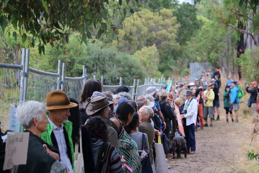Protesters line a temporary fence in bushland.