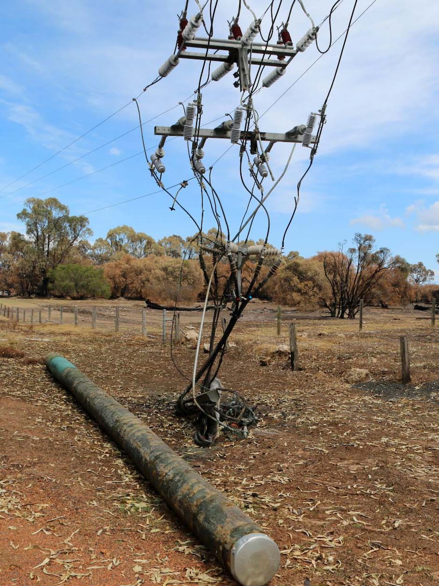 A power pole lies on the ground and overhead wires dangle to the ground at Lake Clifton.