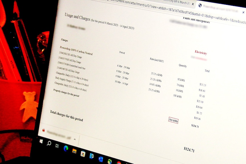 An electricity bill in readable e-text format, breaking down Ria's usage and charges on her computer.