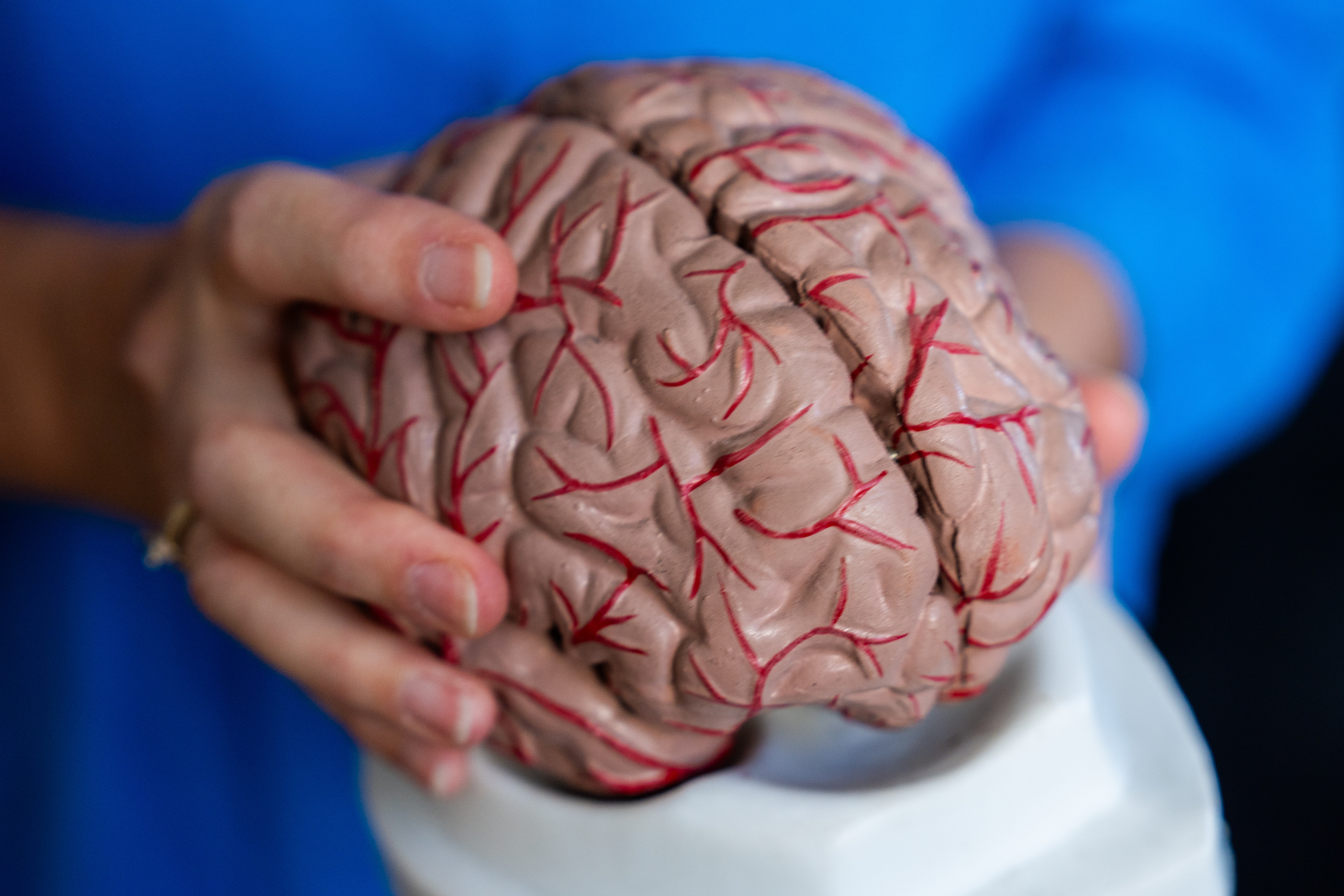 The hidden brain disease impacting DV victim-survivors