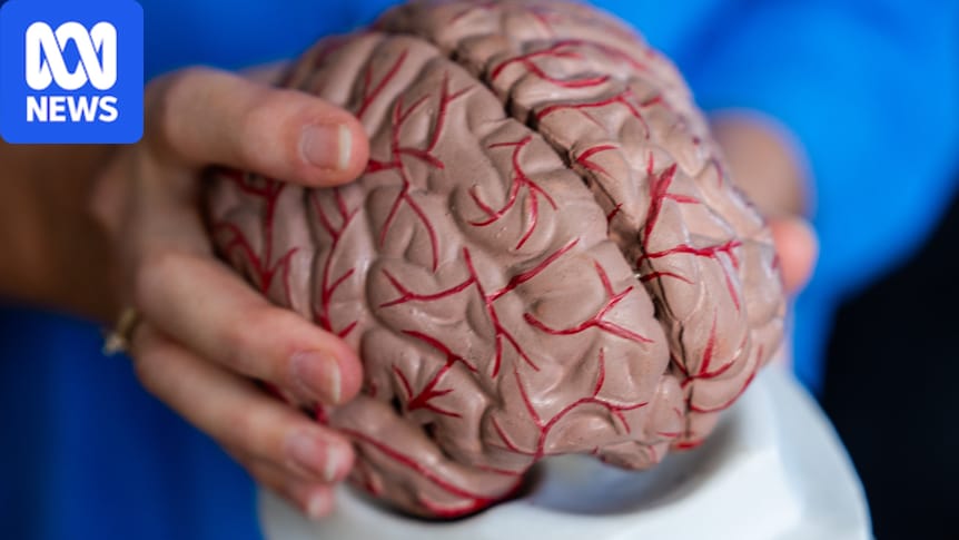 Warning for brain health over offloading deep-thinking skills to AI - ABC News & Headlines – Australian Broadcasting Corporation